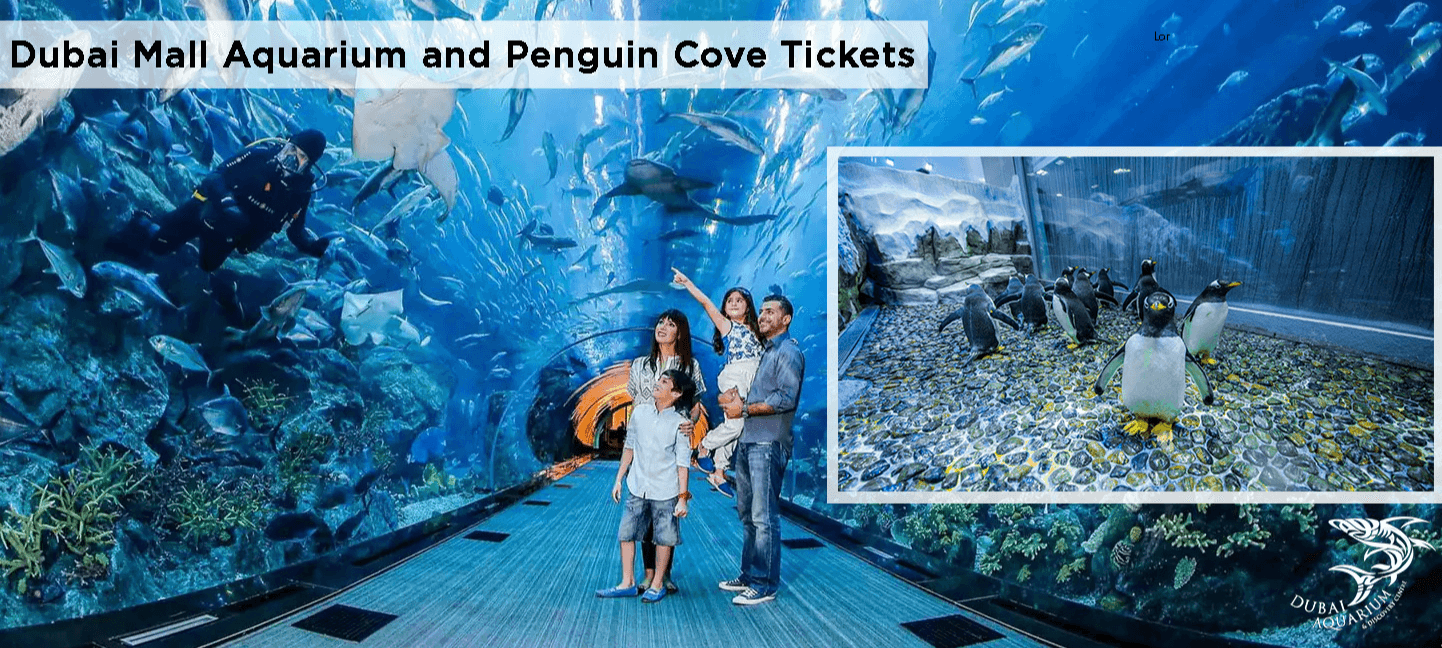 Dubai Aquarium & Underwater Zoo with Penguin Cove Tickets