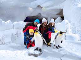 Family posing with penguins in a snowy environment, surrounded by ice formations, showcasing a fun wildlife experience.