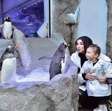 A woman and a child interact with penguins in a snowy exhibit, surrounded by rocky decor in an aquarium setting.